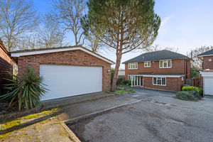 Photo 23- click for photo gallery